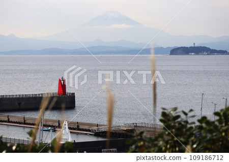 View of Hayama Port, Enoshima, and Mt. Fuji from Mt. Hatate View of Hayama Port, Enoshima, and Mt. Fuji from Mt. Hatate 109186712
