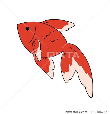 Illustration of a swimming goldfish 109186714