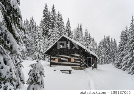 Small wooden hut in winter Jizera Mountains, Czechia Small wooden hut in winter Jizera Mountains, Czechia 109187065