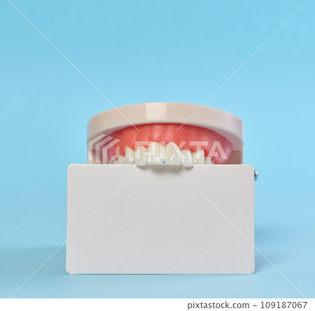 Plastic model of a human jaw and a blank white business card on a blue background Plastic model of a human jaw and a blank white business card on a blue background 109187067