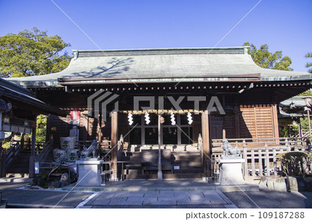 大井神社 島田市 大井神社 島田市 109187288