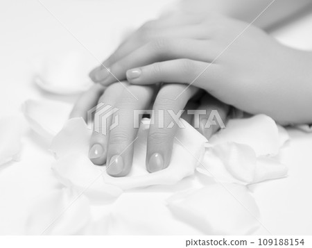 woman hands applying moisturizing cream to her woman hands applying moisturizing cream to her 109188154