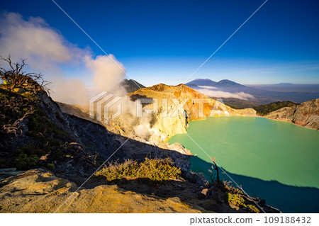 Deadwood Leafless Tree with Turquoise Water Lake,Beautiful nature Landscape mountain and green lake at Kawah Ijen volcano,East Java, Indonesia Deadwood Leafless Tree with Turquoise Water Lake,Beautiful nature Landscape mountain and green lake at Kawah Ijen volcano,East Java, Indonesia 109188432