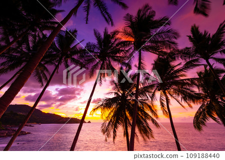 Beautiful colorful sunset or sunrise sky over sea with dramatic clouds nature environment background 109188440