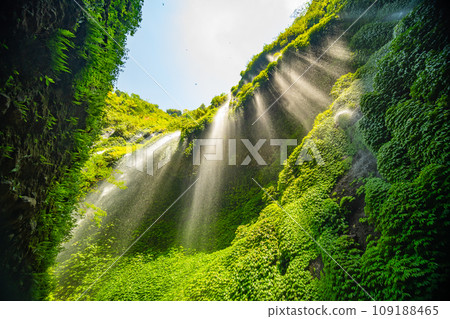 Beautiful waterfalls in sunny day,Bottom view Madakaripura Waterfall is the tallest waterfall in East Java, Indonesia 109188465