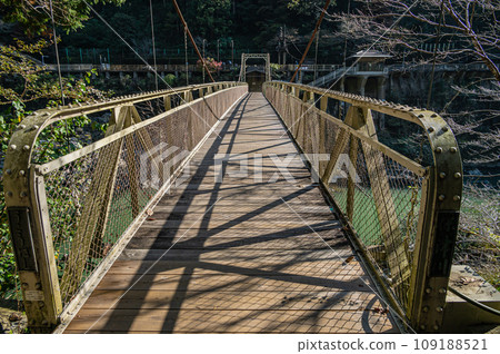 Hozu Gorge Suspension Bridge Ukohashi 109188521