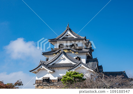 彥根城堡塔 109188547