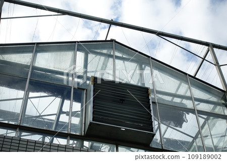greenhouse 109189002