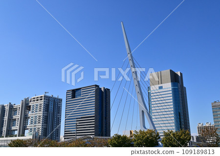 台場景觀 台場景觀 109189813