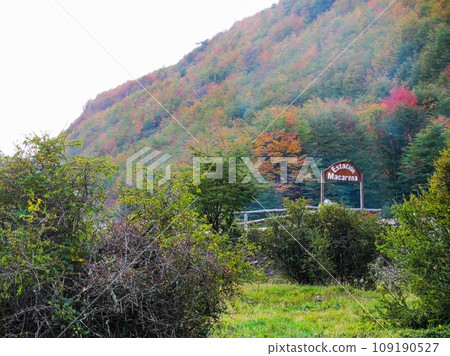 富埃戈島 28 109190527