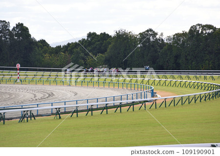 Kyoto Racecourse Turf Outer Circuit Kyoto Racecourse Turf Outer Circuit 109190901