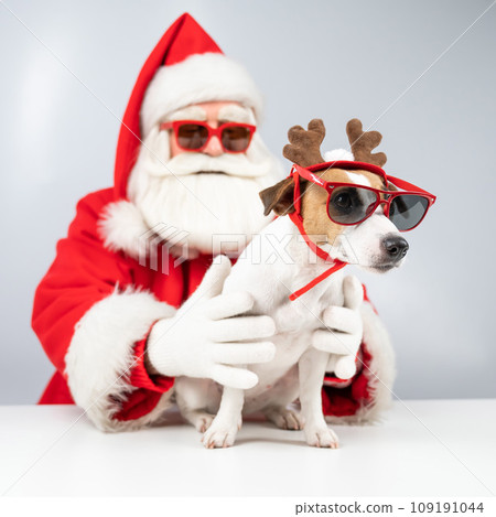 Santa claus and santa's helper in sunglasses on a white background. Jack russell terrier dog in a deer costume 109191044