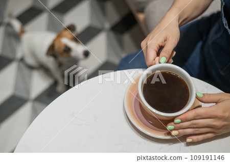 Woman drinking coffee in a dog friendly cafe. Jack Russell sits on the floor in a cafe and waits for the owner. Woman drinking coffee in a dog friendly cafe. Jack Russell sits on the floor in a cafe and waits for the owner. 109191146