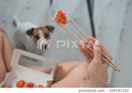 A woman sits on the sofa and eats rolls. Jack Russell Terrier dog sits on the floor and begs for food from its owner. A woman sits on the sofa and eats rolls. Jack Russell Terrier dog sits on the floor and begs for food from its owner. 109191292