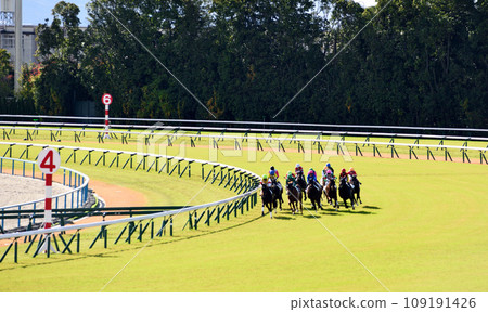 京都賽馬場草坪場 京都賽馬場草坪場 109191426
