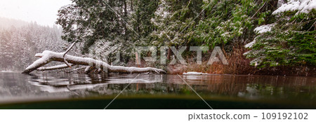 Cold Glacier Lake covered in snow in the Canadian Mountain Landscape. Winter Season 109192102