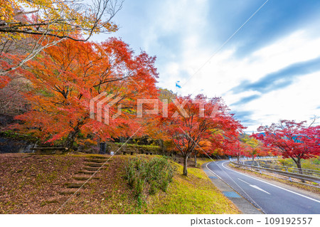 Tanzawa湖秋葉 Tanzawa湖秋葉 109192557
