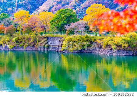 Tanzawa湖秋葉 109192588
