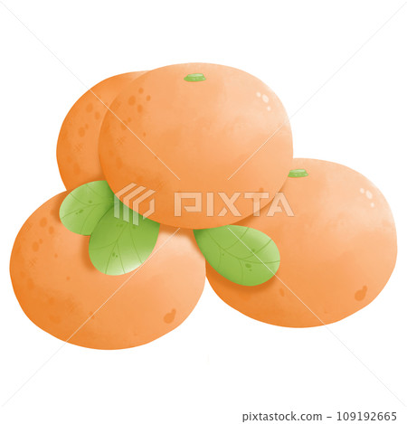 Watercolor orange leaf cartoon of concept Chinese new year decorate illustration Watercolor orange leaf cartoon of concept Chinese new year decorate illustration 109192665