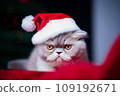 Grey persian cat in santa hat on Christmas background. Selective focus 109192671