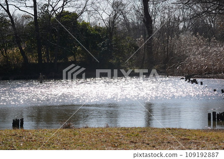 光亮的水面 109192887