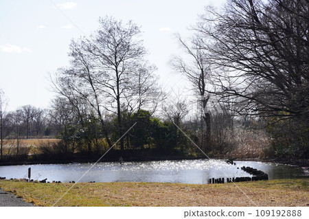 Autumn lake surface 109192888