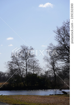 autumn sky  109192890