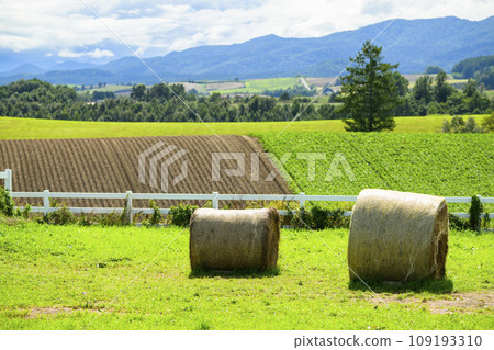 北海道美瑛「信榮之丘展望公園」的草卷 北海道美瑛「信榮之丘展望公園」的草卷 109193310