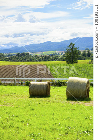 The view from “Shinei no Oka Observation Park” in Biei, Hokkaido 109193311