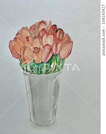 many beautiful tulips many beautiful tulips 109193427