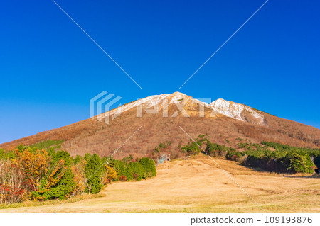 (Tottori Prefecture) Autumn leaves at Masumizu Kogen Snow Park and Mt. Daisen covered in snow (Tottori Prefecture) Autumn leaves at Masumizu Kogen Snow Park and Mt. Daisen covered in snow 109193876