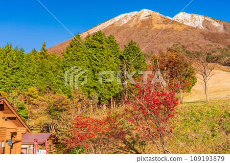 （鳥取縣）真水高原滑雪公園的紅葉和白雪覆蓋的大山 109193879