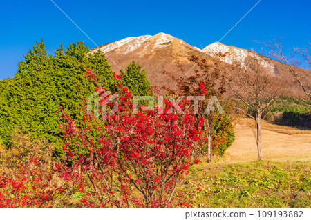 （鳥取縣）真水高原滑雪場/三層紅葉的大山 109193882