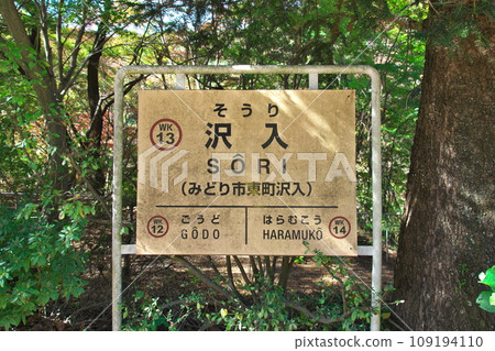 Watarase Keikoku Railway Sawairi Station Station Name Sign 109194110