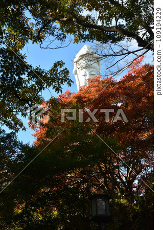 White-robed Kannon peeking out from among the autumn leaves White-robed Kannon peeking out from among the autumn leaves 109194229