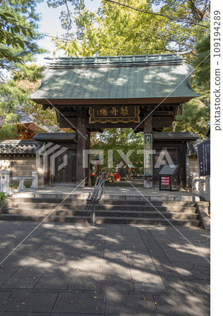 The main gate of Kuhonbutsu Joshinji Temple begins to change color The main gate of Kuhonbutsu Joshinji Temple begins to change color 109194289