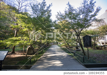 九本佛新成寺的庭院開始變色 109194355