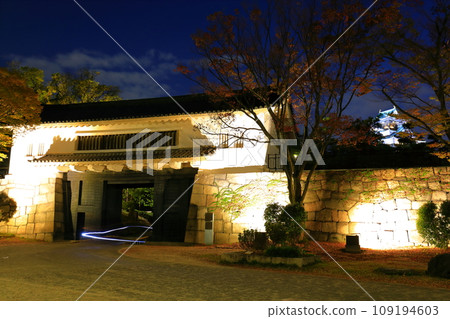 [Osaka Prefecture] Night view of Osaka Castle large castle tower and Aoyamon gate 109194603