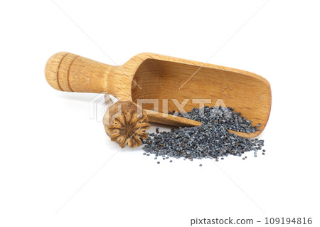 Poppy seeds and seed pod over white background Poppy seeds and seed pod over white background 109194816