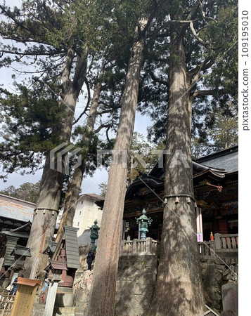 Sanemine Shrine 109195010