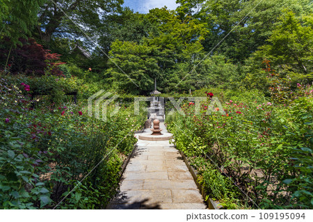 Miyagi Matsushima Entsu-in Hakukabo Western Garden in early summer 109195094