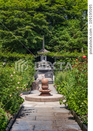 Miyagi Matsushima Entsu-in Hakukabo Western Garden in early summer Miyagi Matsushima Entsu-in Hakukabo Western Garden in early summer 109195095