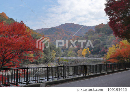 京都宇治川的秋景 京都宇治川的秋景 109195633
