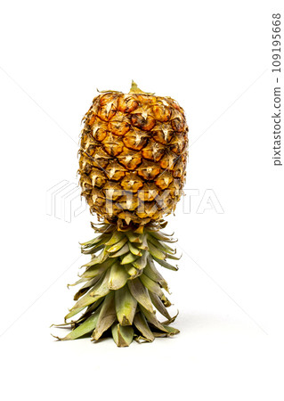 Inverted ripe pineapple on white background Inverted ripe pineapple on white background 109195668