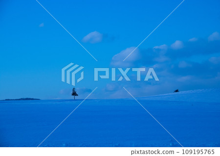 在黃昏和冬天樹叢的雪原 在黃昏和冬天樹叢的雪原 109195765