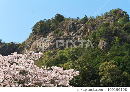 春天的富山,岐阜縣川邊町 春天的富山,岐阜縣川邊町 109196108
