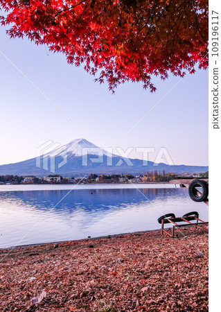 Mt. Fuji, autumn leaves, Lake Kawaguchi, Yamanashi Mt. Fuji, autumn leaves, Lake Kawaguchi, Yamanashi 109196117