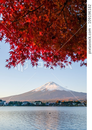 Mt. Fuji, autumn leaves, Lake Kawaguchi, Yamanashi Mt. Fuji, autumn leaves, Lake Kawaguchi, Yamanashi 109196182