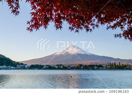 Mt. Fuji, autumn leaves, Lake Kawaguchi, Yamanashi 109196183