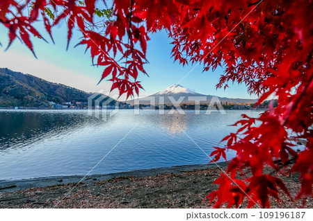 富士山、秋葉、河口湖、山梨縣 富士山、秋葉、河口湖、山梨縣 109196187